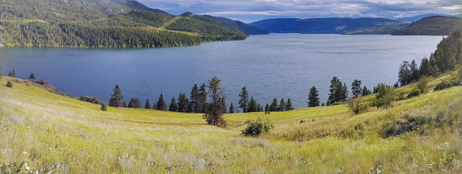 Panoramic view over Kalamalka Lake